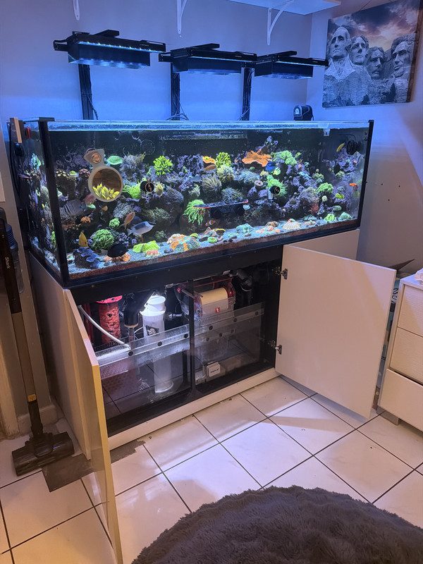 Reef display with full sump system