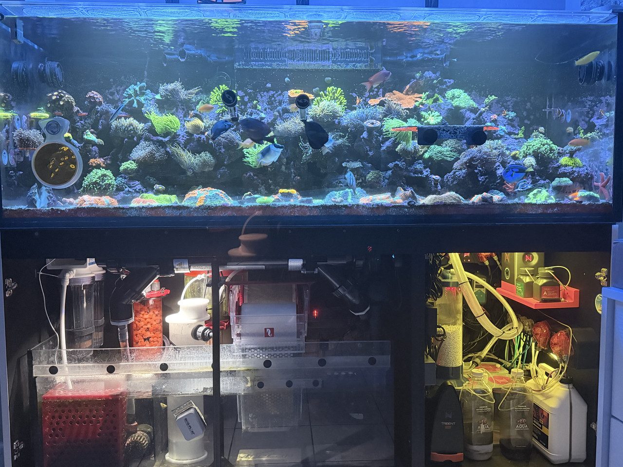Reef system with custom sump plumbing